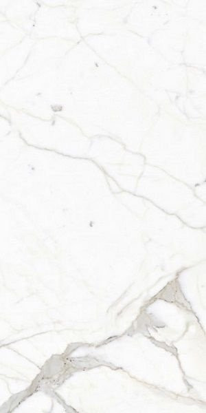 FMG Select Calacatta 60x120