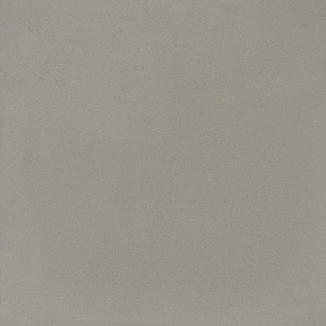FMG TerraPura Grigio Natural Plus 120x120H1