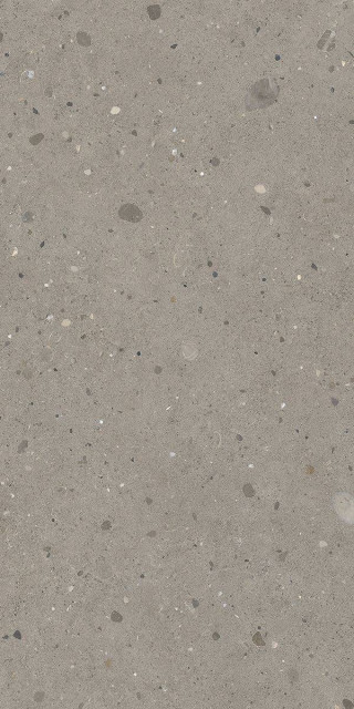 Fondovalle Keynote Cool Grey Natural R10 60x120H0.85