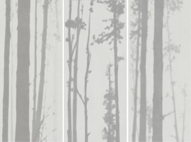 Fondovalle Dream Light Side 120x278H0.6