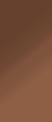 Fondovalle Reflex Bronze Rett 120x278H0.6