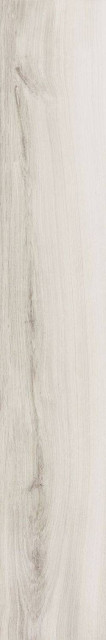 Gardenia Orchidea Just Color White 20x120H0.85