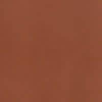 Grazia Pitti Tozzetto Cotto 12.2x12.2