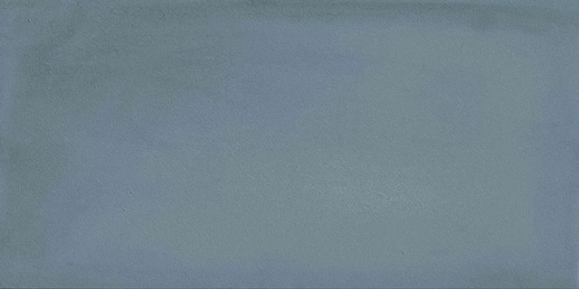 Imola Gesso Cobalto 10x20