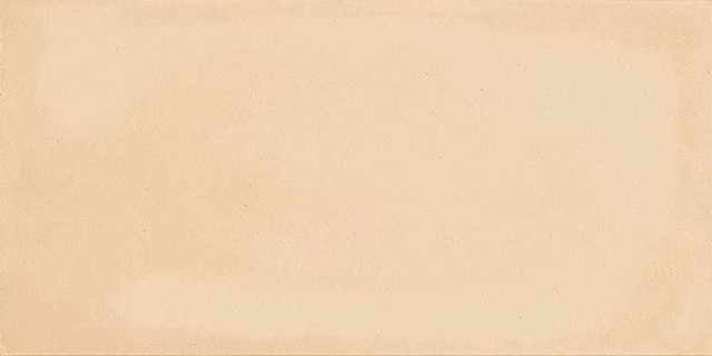 Imola Gesso Terracotta 10x20