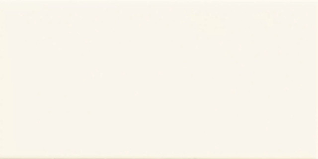 Imola Icona Fior Di Latte 10x20