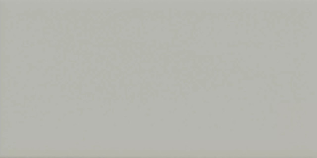 Imola Icona Grigio 10x20