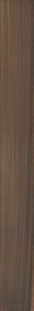 Imola Koala 2018BS RM 20х180