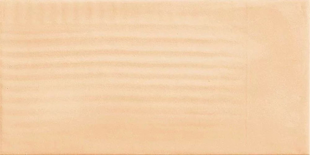 Imola Gesso1 Terracotta 10x20