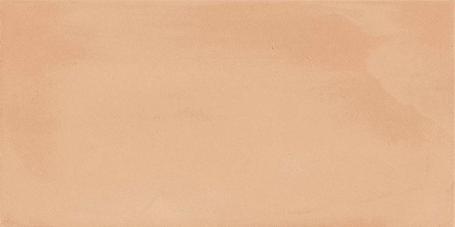 Imola Gesso Mattone 10x20