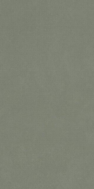 Imola Retina PAT6 SALVI12 RM 6,5mm 60x120H0.65