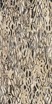Imola The Room Ghepard6 12 LP 60x120