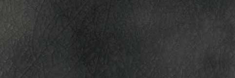 Iris Camp Army Glaze Black 10x30