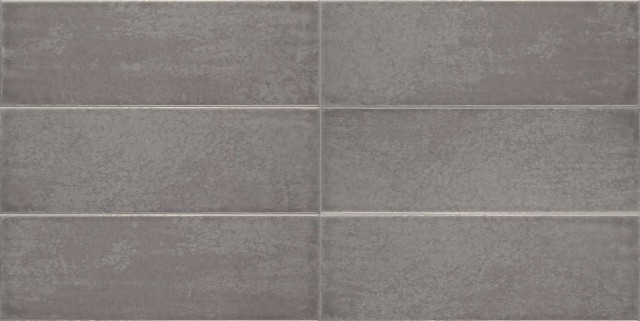 Iris Maiolica Grigio 10x30