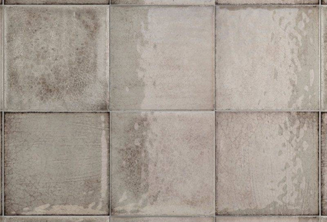Iris Maiolica Grigio 20x20