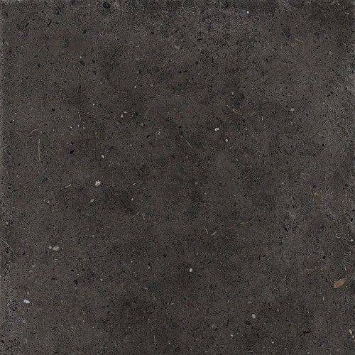 Iris Whole Stone Black Sq 60x60