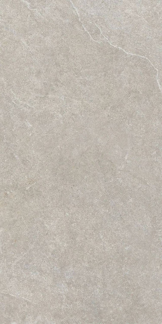 Italgraniti Limestone Grey Rect 60x120H0.9