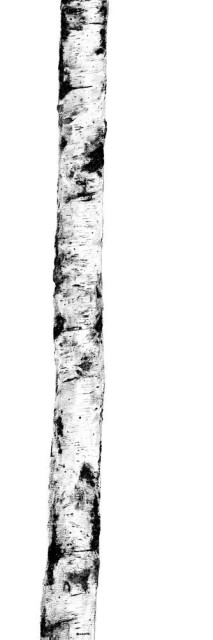 Kerlite Wanderwall Ritmi A1 3.5 mm 300x100
