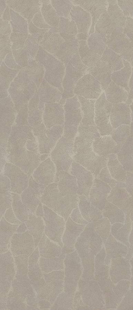 Kronos Materia Hari Cenere 6mm 120x280H0.6