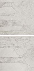 Nature Koan l Lapp. e Rett. 60х120