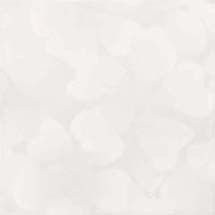 Bianco Floreale 60х60
