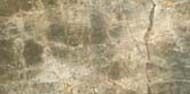 Alps Lap. Rett. 31.5х63.5