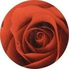 Lavica Set Discus Fiori 1 37х37