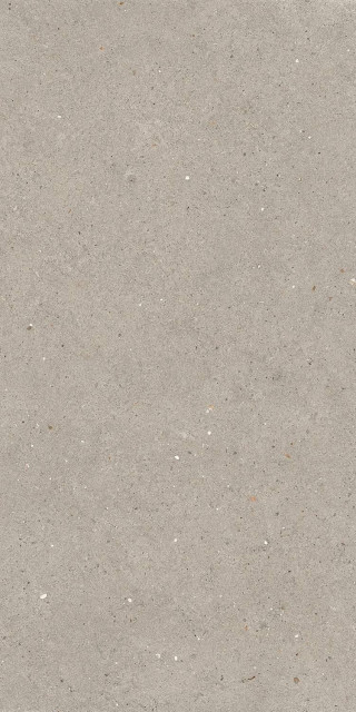 La Faenza Suite Stone Argent6 12 60x120H0.65