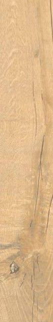 La Fenice Le Doghe Olmo 20x120