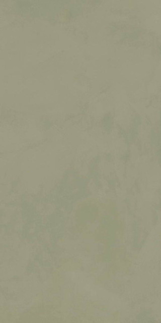La Fenice Natural Resine Te 60x120H0.9