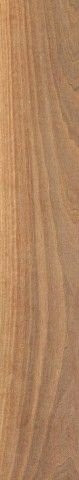 Lea Bio Select Walnut Tobacco RTT 20x120