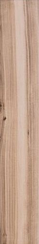 Mirage Koru Apricot KO 03 Nat SQ 20x120