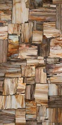Mirage Privilege Petrified 120x240