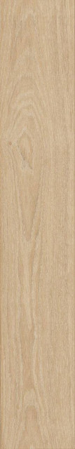 Naxos Authentic Wild Raw Nat Rect 7mm 20x120H0.7