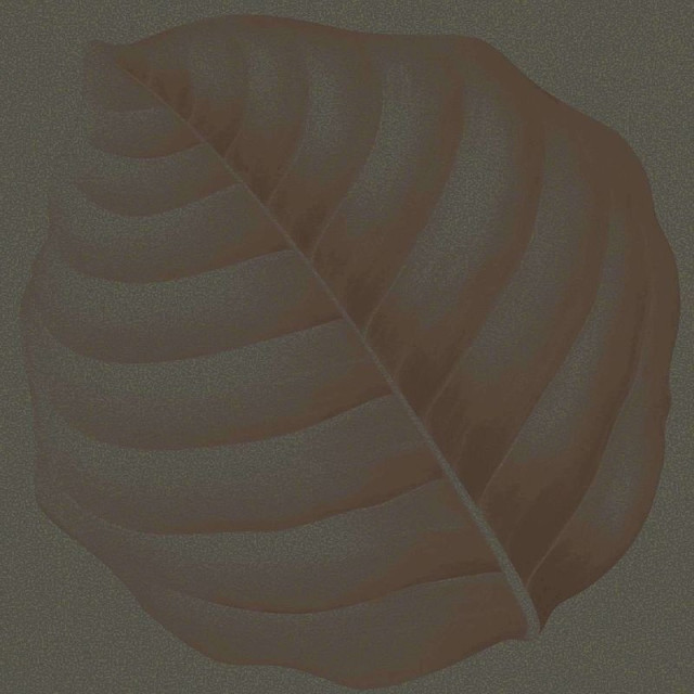 Ornamenta Botanica Lymph Erbolario 30x30