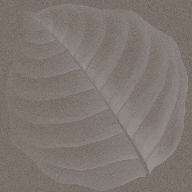 Ornamenta Botanica Lymph Fango 30x30