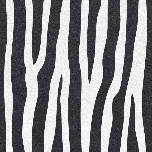 Ornamenta Jungle Zebra Key 60x60