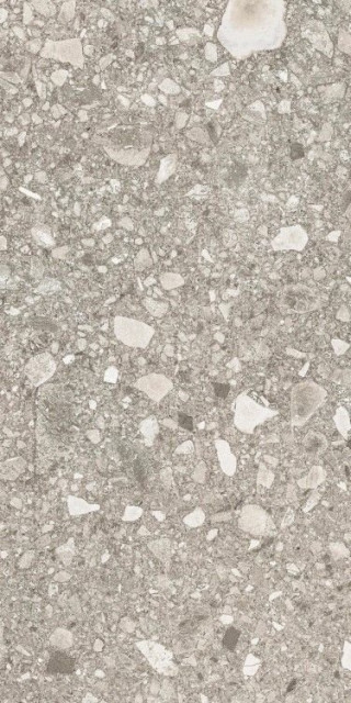 Ornamenta Stile Libero Gray 60x120