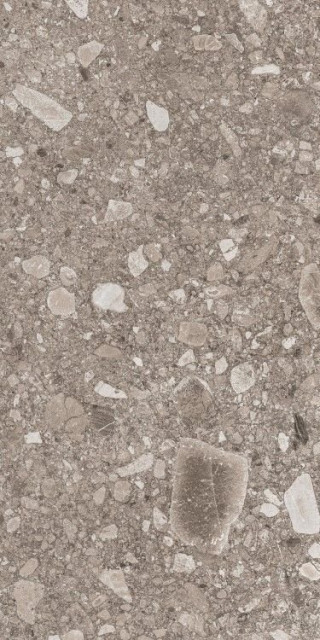 Ornamenta Stile Libero Mud 60x120
