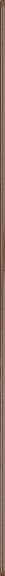 Piemme Incipit Line Brown 0,5х60