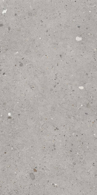 Provenza Ego Grigio 60x120