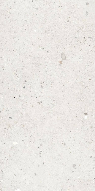 Provenza Ego Avorio 60x120