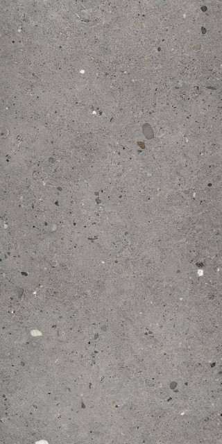 Provenza Ego Grigio Scuro 60x120