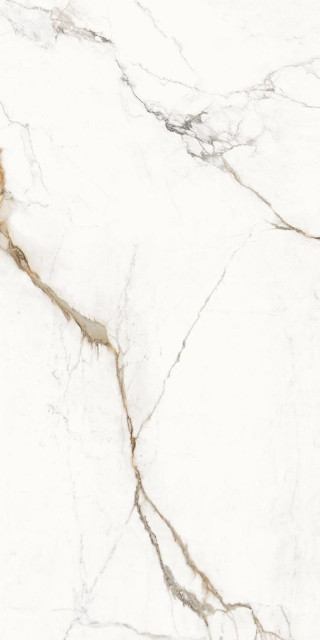 Provenza Unique Marble Paonazzetto Lapp 60x120