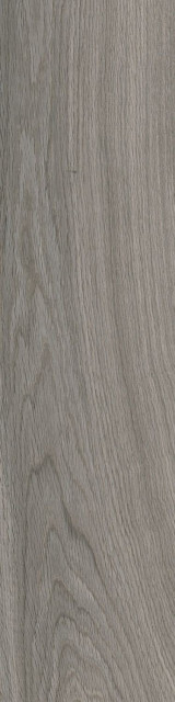 Ragno Escape Grigio 12,5x50