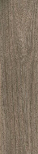 Ragno Escape Tortora 12,5x50