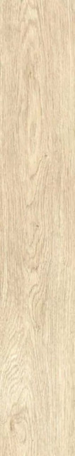 Ragno Inedito Avorio 20x120