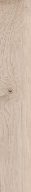 Ragno Grove Essenza 20x120H0.85