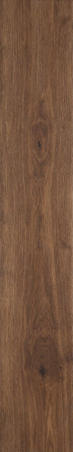 Ragno Grove Fusto 20x120H0.9