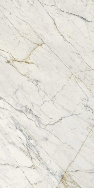 Calacatta Oro Glossy Rett 120x240